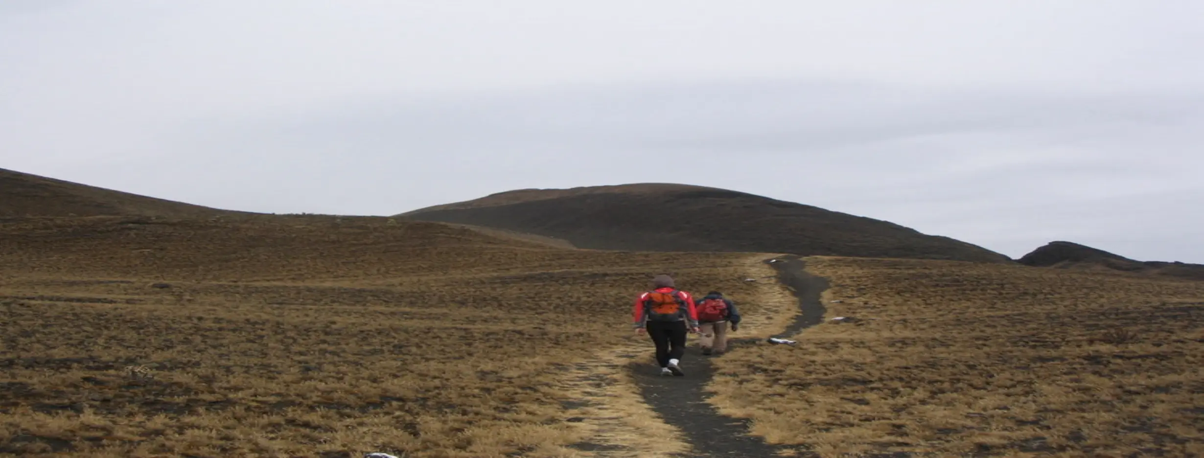 Image for Mount Cameroon Climb